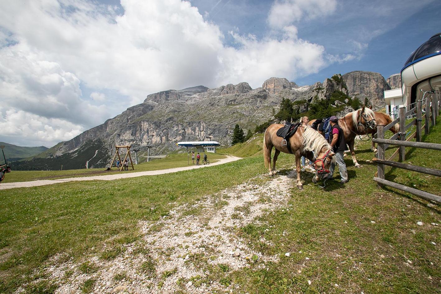 Hotel Alpenrose Arabba Luaran gambar